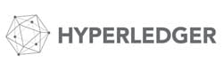 Hyperledger Development Company